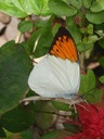thumb_0910Winter_721.jpg