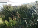 thumb_0910Oct_021.jpg
