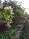 thumb_0910Oct_036.jpg