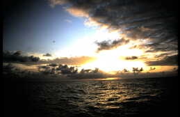thumb_7-6-2010_001.JPG