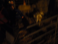 thumb_2010-12_Aud_009.jpg