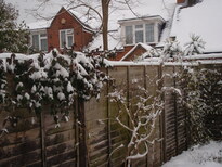 thumb_2010-12_Aud_014.jpg