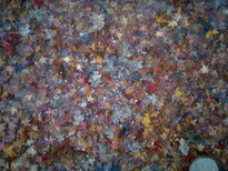 thumb_12112010024.jpg