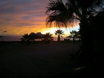 thumb_21112010064.jpg