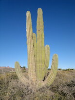 thumb_21112010067.jpg
