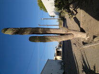 thumb_21112010068.jpg