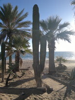 thumb_21112010069.jpg