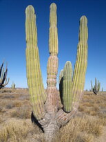 thumb_22112010072.jpg