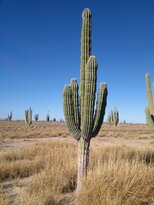 thumb_22112010073.jpg