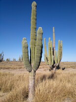 thumb_22112010074.jpg
