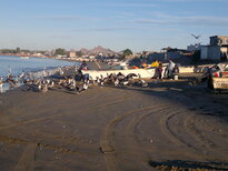 thumb_23112010084.jpg