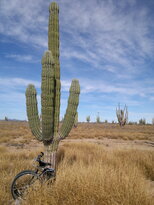 thumb_24112010097.jpg