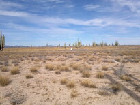 thumb_24112010098.jpg