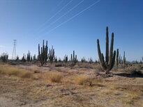 thumb_29112010112.jpg
