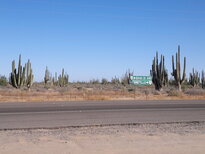 thumb_29112010113.jpg