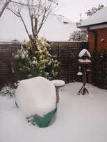 thumb_2010-12_Aud_014.jpg
