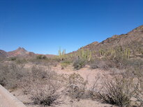 thumb_01122010125.jpg