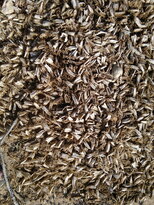 thumb_01122010129.jpg