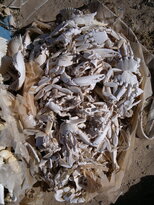 thumb_01122010130.jpg