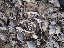 thumb_03122010135.jpg