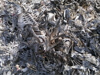 thumb_03122010136.jpg