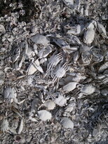thumb_03122010137.jpg