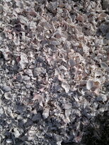 thumb_03122010138.jpg