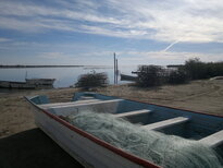 thumb_03122010139.jpg