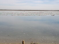 thumb_03122010142.jpg