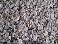 thumb_03122010143.jpg