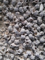 thumb_03122010144.jpg