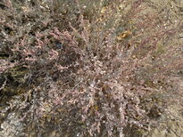 thumb_03122010146.jpg