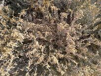 thumb_03122010147.jpg