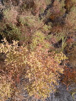 thumb_03122010149.jpg