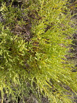thumb_03122010150.jpg