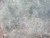 thumb_03122010151.jpg