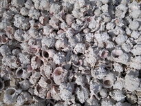 thumb_03122010152.jpg