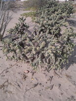 thumb_03122010155.jpg