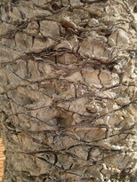 thumb_03122010156.jpg