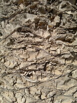 thumb_03122010157.jpg