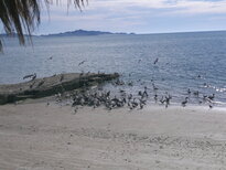 thumb_04122010160.jpg