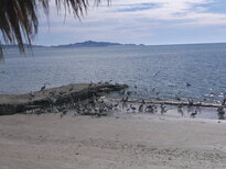 thumb_04122010161.jpg