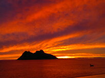 thumb_05122010175.jpg