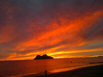 thumb_05122010176.jpg
