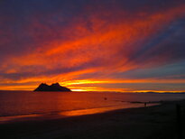 thumb_05122010178.jpg