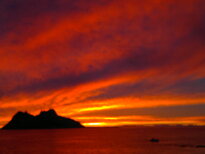 thumb_05122010179.jpg