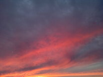 thumb_05122010180.jpg