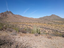 thumb_05122010185.jpg