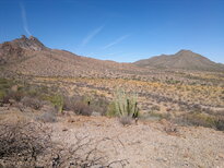 thumb_05122010186.jpg