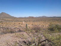 thumb_05122010187.jpg